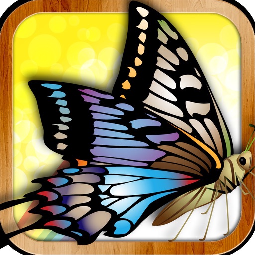 蝴蝶连连看--美丽蝴蝶翅膀拼接,连接翅膀召唤蝴蝶,安吉拉出品 icon