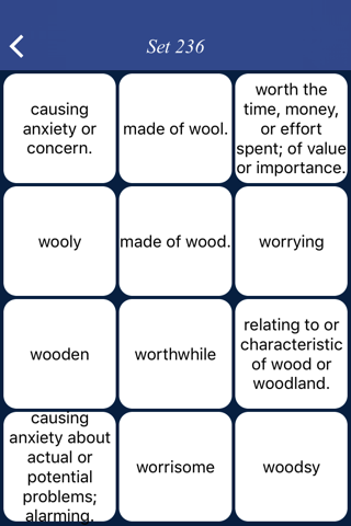 Mastering English Adjectives screenshot 3