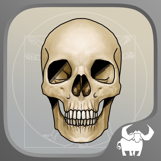 iBones - learn the skeleton bones icon