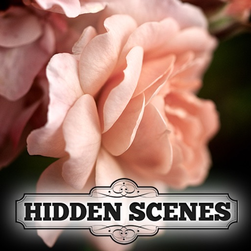 Hidden Scenes - Summer Roses