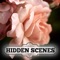 Hidden Scenes is a game similar to a jigsaw puzzle where you swap and flip the pieces to reveal the hidden scene