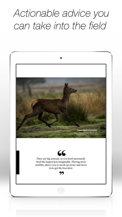 Wildlife Photographic Magazine screenshot-3