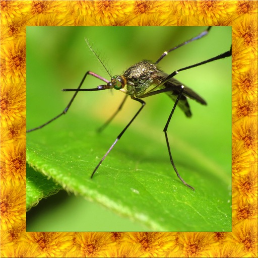 Mosquito Simulator 3D iOS App