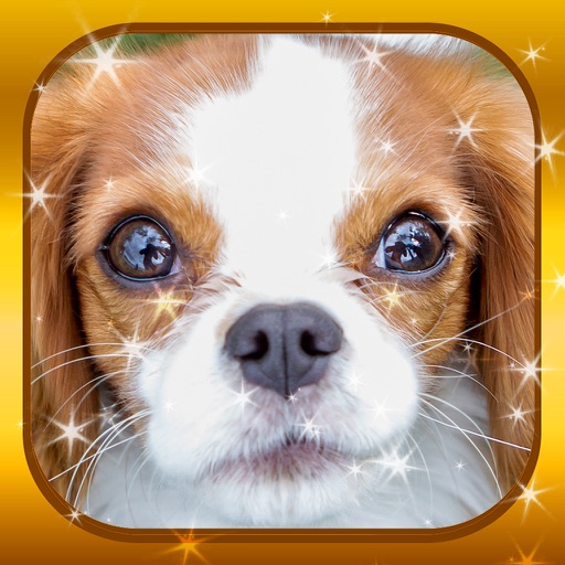 Jigsaw Puzzles - Cute Puppy Love Baby Animal Game