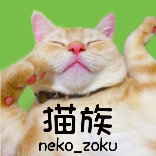 【猫族neko_zoku】猫雑貨・ペット用品の通販アプリ icon