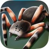 My Pet Spider 3D Sim