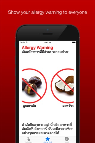 Allergy Translation Card - Available for multiple allergies and languages screenshot 4