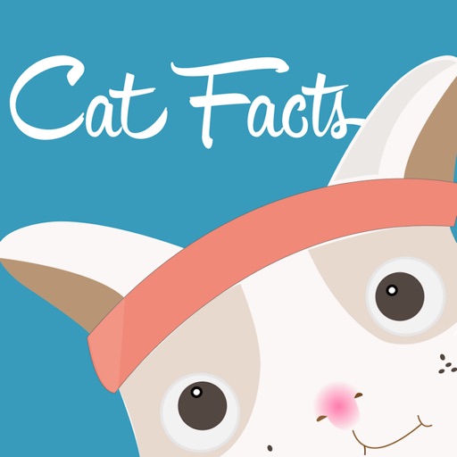 Cat Runner Facts iOS App