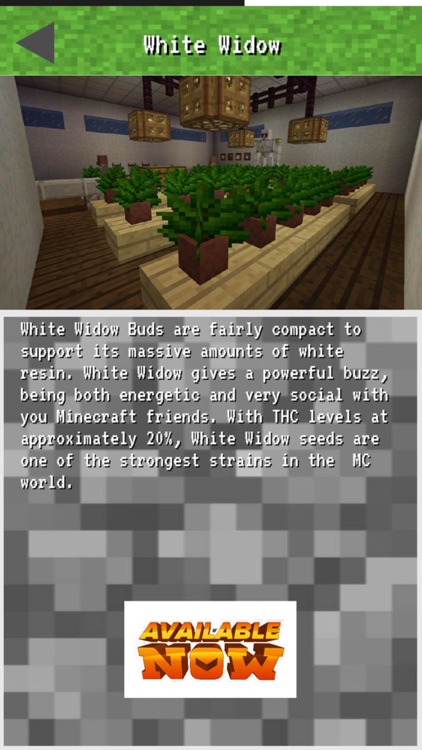 Weed Mod for Minecraft Pc - Full Installation and Preview Guidance screenshot-3