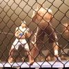 Cage Fighting Photos and Videos - Wildest fighting sports on the planet