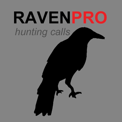 REAL Raven Hunting Calls - 7 REAL Raven CALLS & Raven Sounds! - Raven e-Caller & BLUETOOTH COMPATIBLE iOS App
