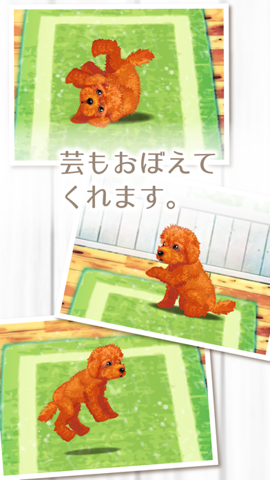 癒しの子犬育成ゲーム〜トイプードル編〜（無料）のおすすめ画像3