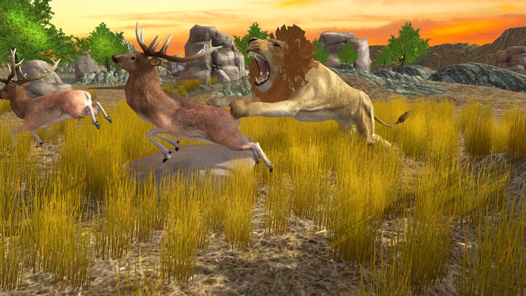 Lion Simulator Animal Survival -  Play as a wild Lion in the Jungle screenshot-3