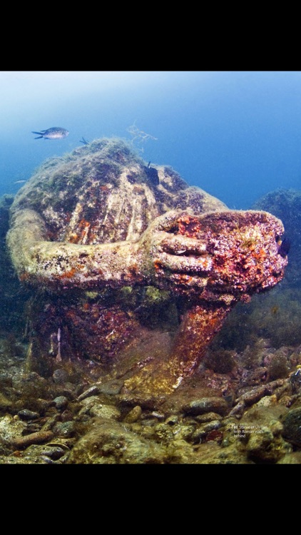 Scuba Diver Magazine screenshot-4