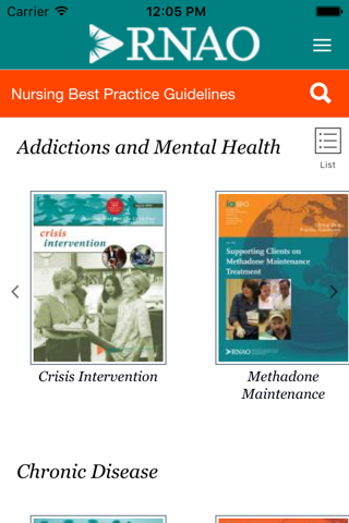 RNAO Best Practice Guidelines screenshot 2