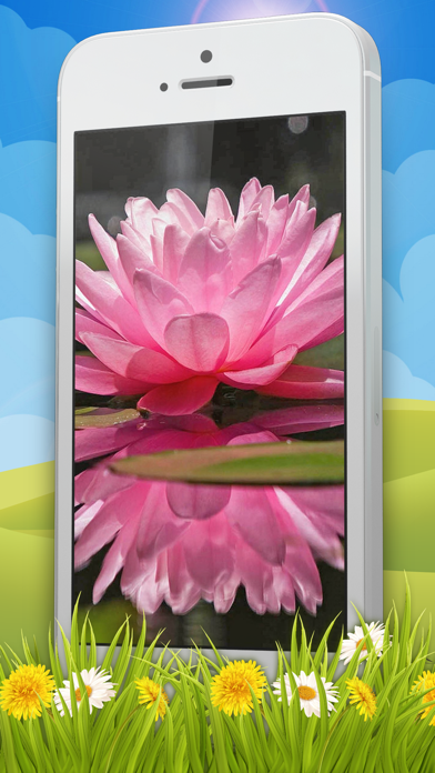 花 壁紙 かわいいです ロック画面 そして フローラル 背景画像 Iphoneアプリ Applion