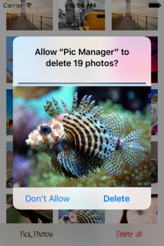Pic Manager - Fast Deleter screenshot 3