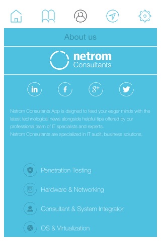 NetRom Consultants screenshot 2