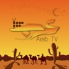 Arabic TV HD