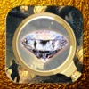 Unknown Place - Hidden Object