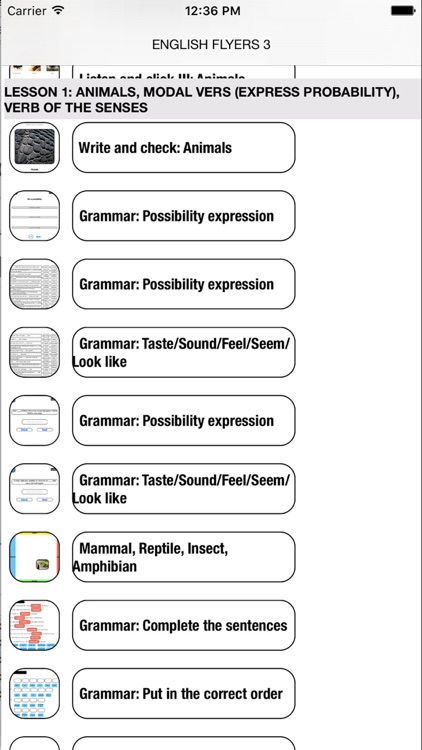 English Flyers 3 Learn Speaking Easily for iPhone