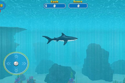 Angry Shark Revenge-Dangerous Seaworld Creature Human Eater Game screenshot 3