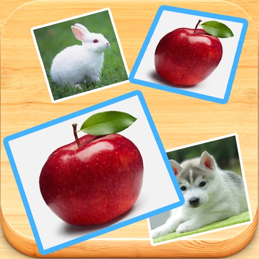 Find Double - Matching pair game with cute photos iOS App