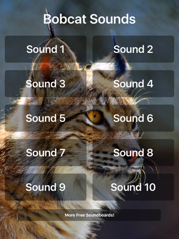 Bobcat Sounds! - náhled
