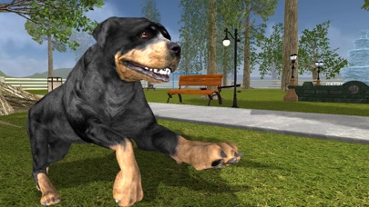 Rottweiler Dog Life Simulator Screenshot 1