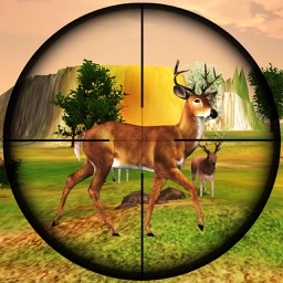 Wild Animal Hunter 3D-Real Predator Animal Hunting game
