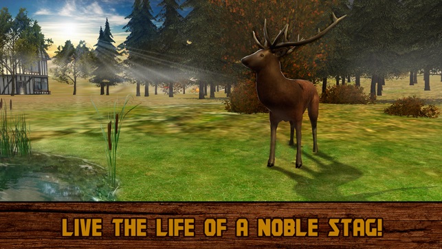 Forest Deer: Wild Survival Full(圖1)-速報App