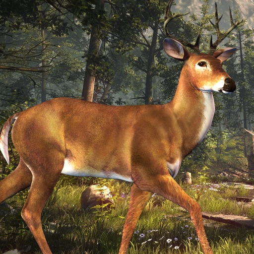 Deer Hunting Challenge 2016 iOS App
