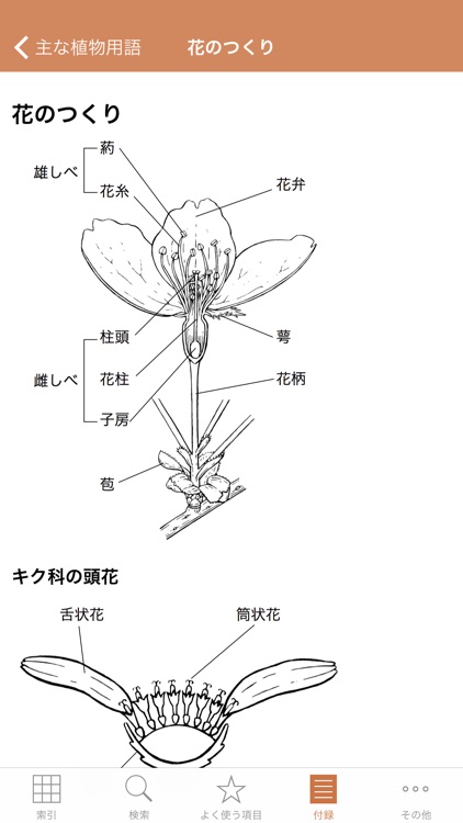 野に咲く花(山溪ハンディ図鑑) screenshot-4