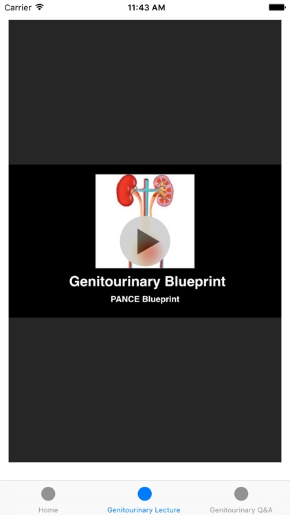 Genitourinary Blueprint PANCE PANRE Review Course (Lecture  & Questions)