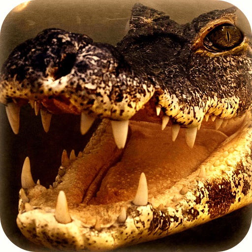 2016 Angry Alligator Hunting Park Free Hunt Games icon