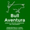 Bull Aventura