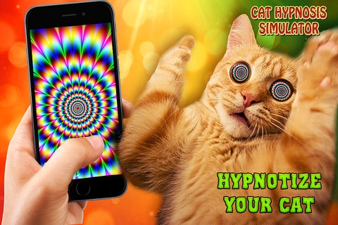 Cat Hypnosis simulator joke screenshot 3