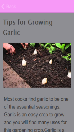 How To Grow Garlic(圖3)-速報App