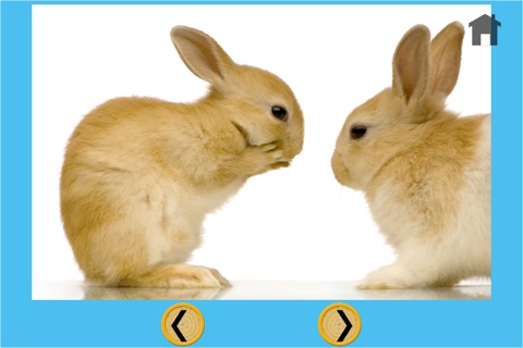 verry funny rabbits for kids - no ads screenshot 3