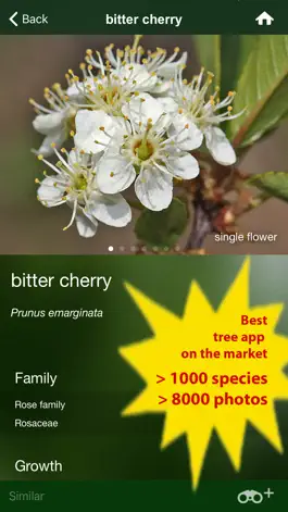 Game screenshot Tree Id USA - identify over 1000 of America's native species of Trees, Shrubs and Bushes apk