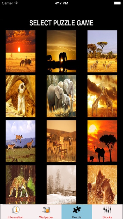 Safari Animals Wallpaper Safari Games