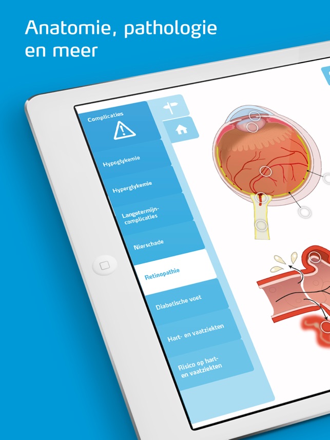 Diabetes Zorgatlas(圖1)-速報App