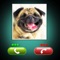 Icon Fake Call Dog Prank