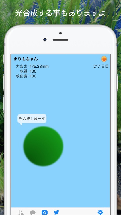 marimo screenshot-3