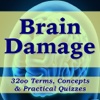 Brain Damage Exam Review/3200 Flashcards Study Notes, Terms, Concepts & Quizzes