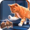 Rat Vs Cat Simulator 2016: Best Simulation of Mouse and Rat Trap Challenge!