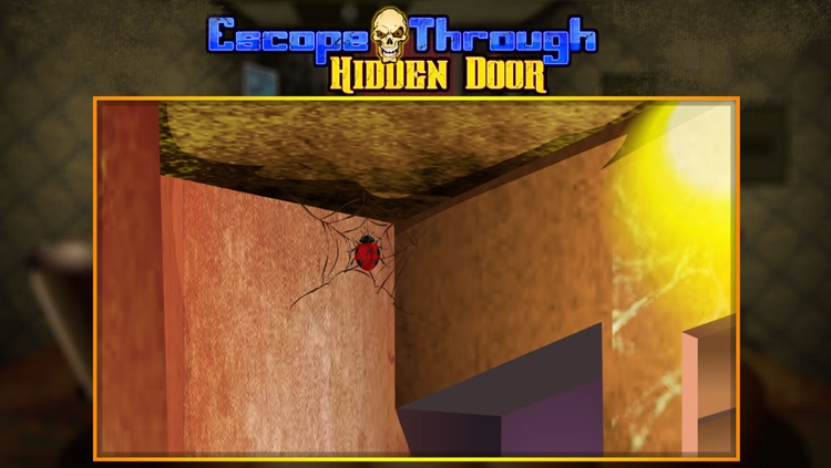 Escape Through Hidden Door