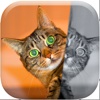 Photo Blender & Mirror Camera Effects - Split and Clone Pics with Image Edit.or Pro