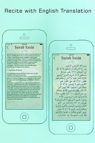 Surah Yaseen MP3 In Urdu & English Pro screenshot 4