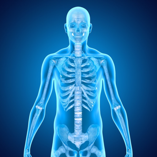 Medical Terminology : Skeletal System iOS App